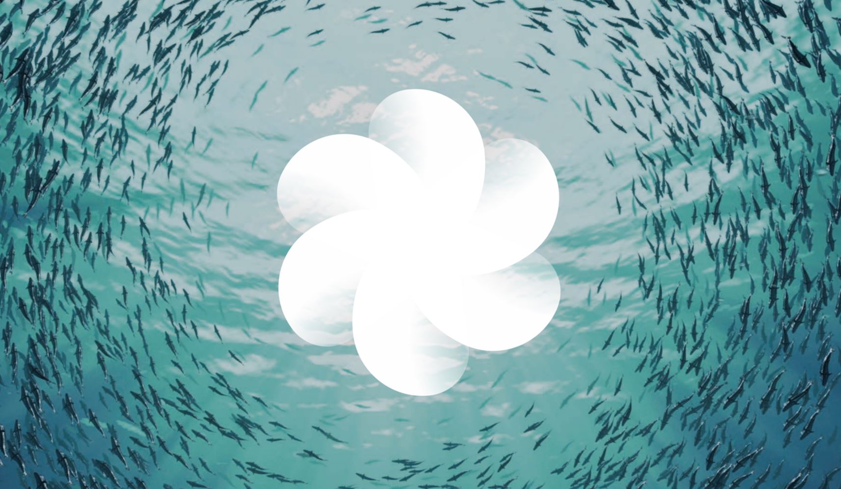 Google Daydream Logo Header