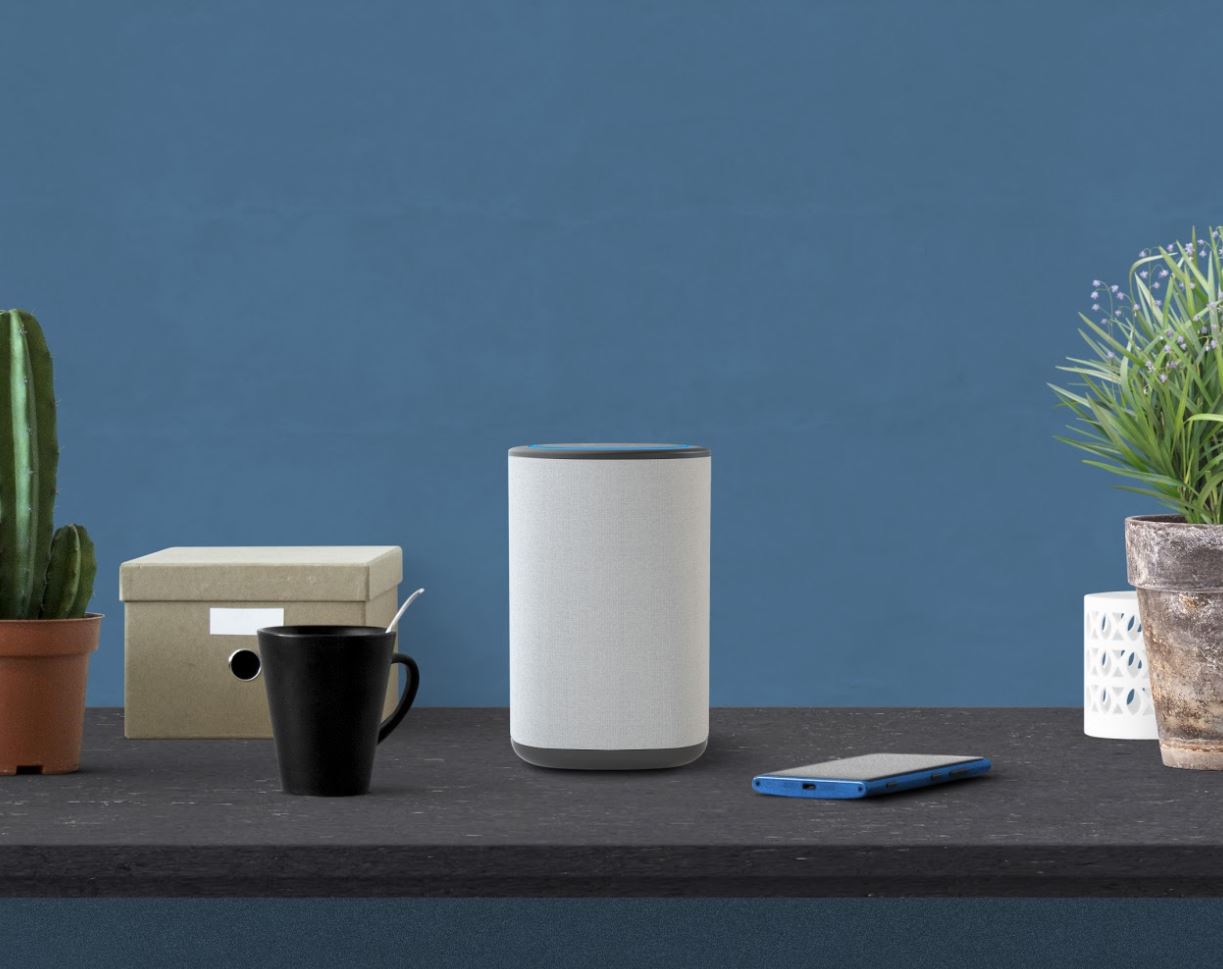 VAUX Echo Dot