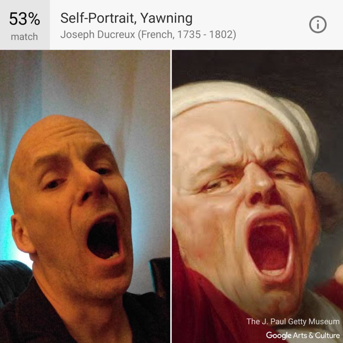 Art and Culture Android App Gesicht Vergleich (1)