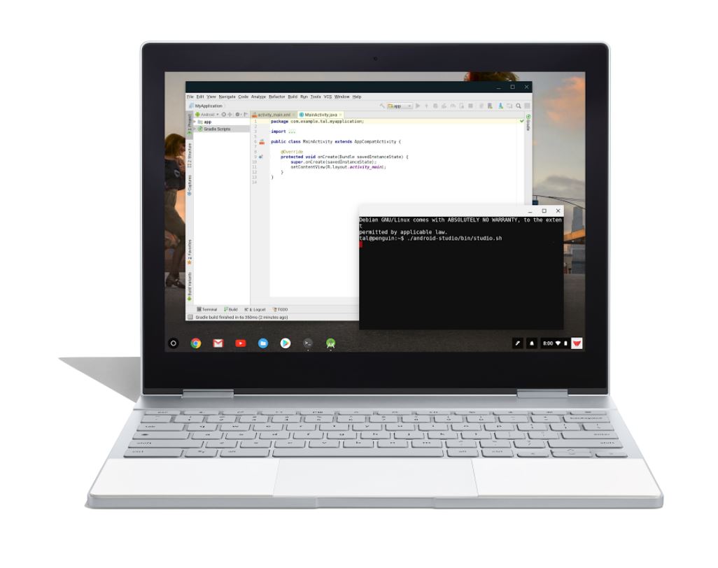 Chrome OS Linux