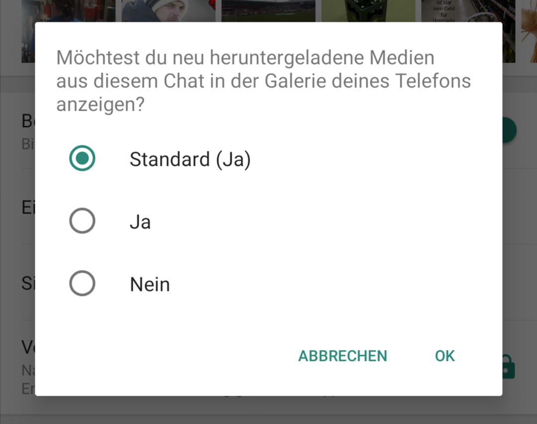 Sichtbarkeit der Medien WhatsApp