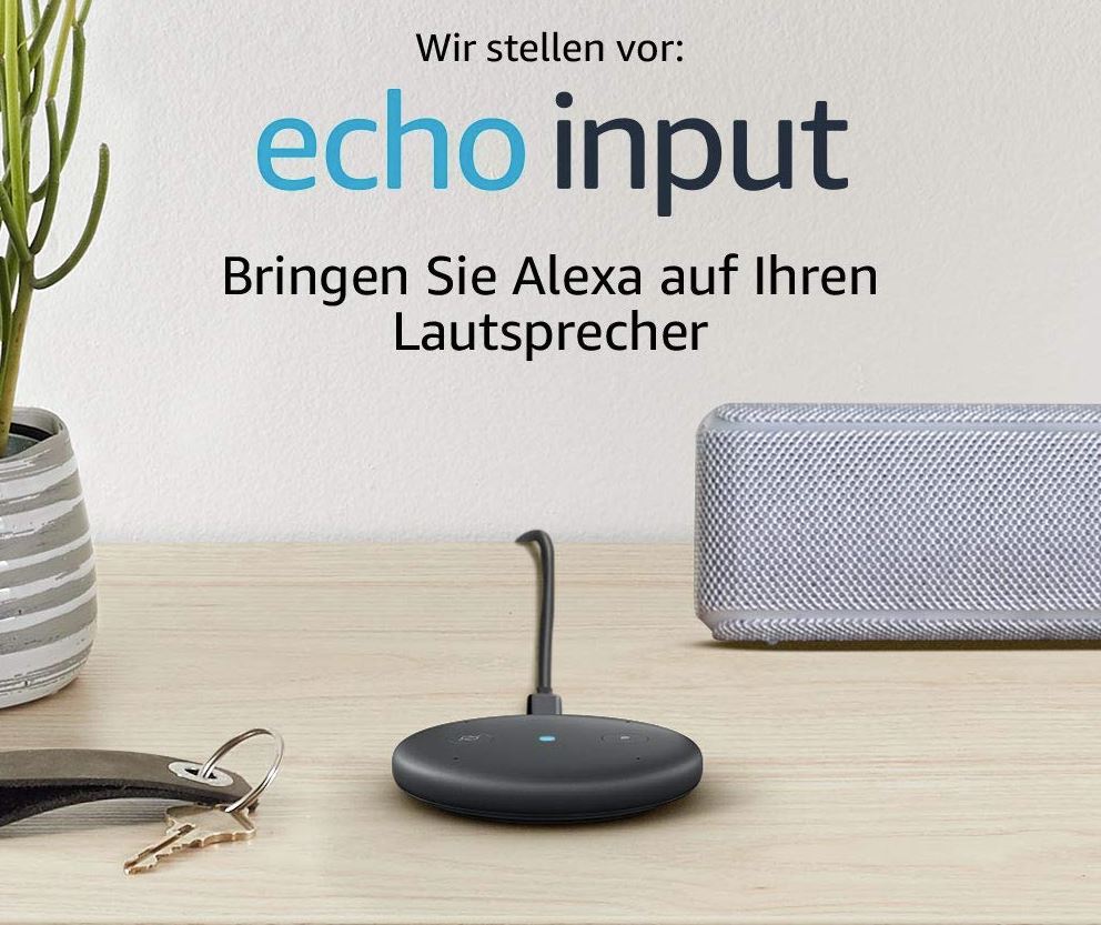 Amazon Echo Input