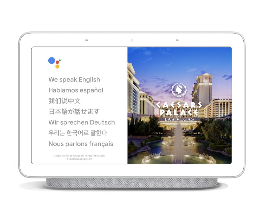Google Assistant Live Übersetzer