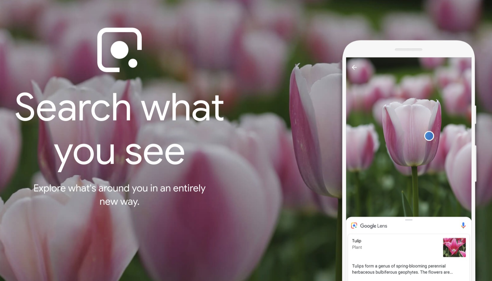 Google Lens Header
