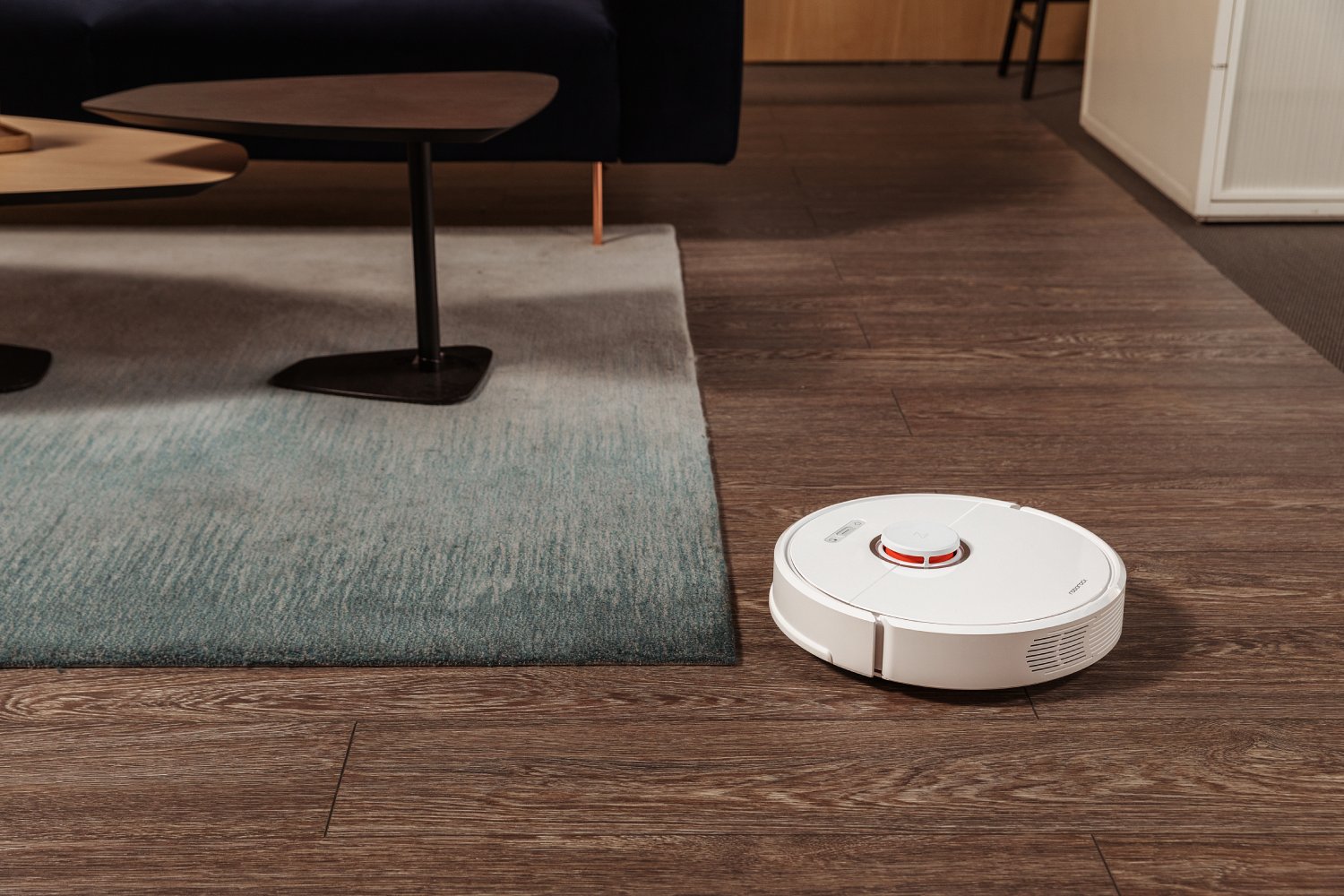 Roborock S6