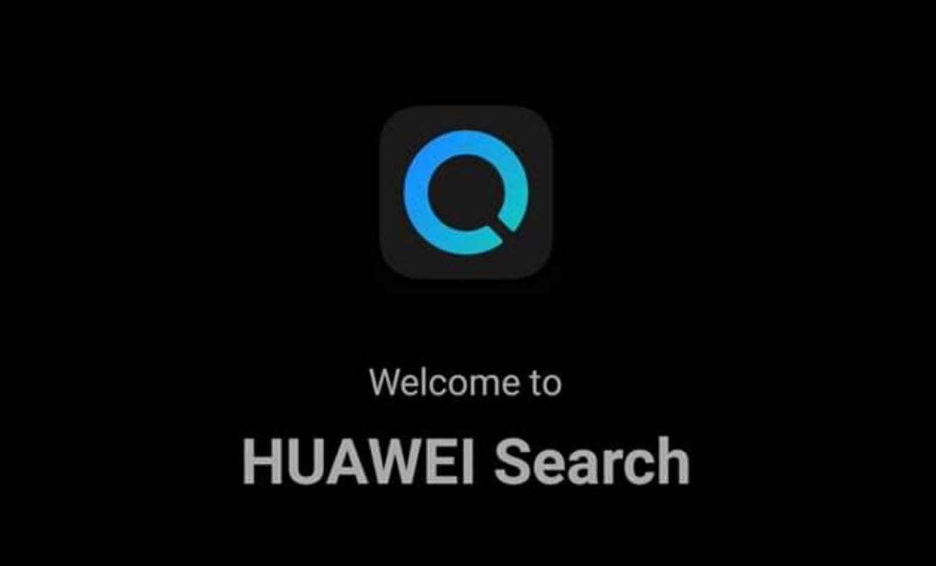 Huawei Search Screenshot 2 (1)