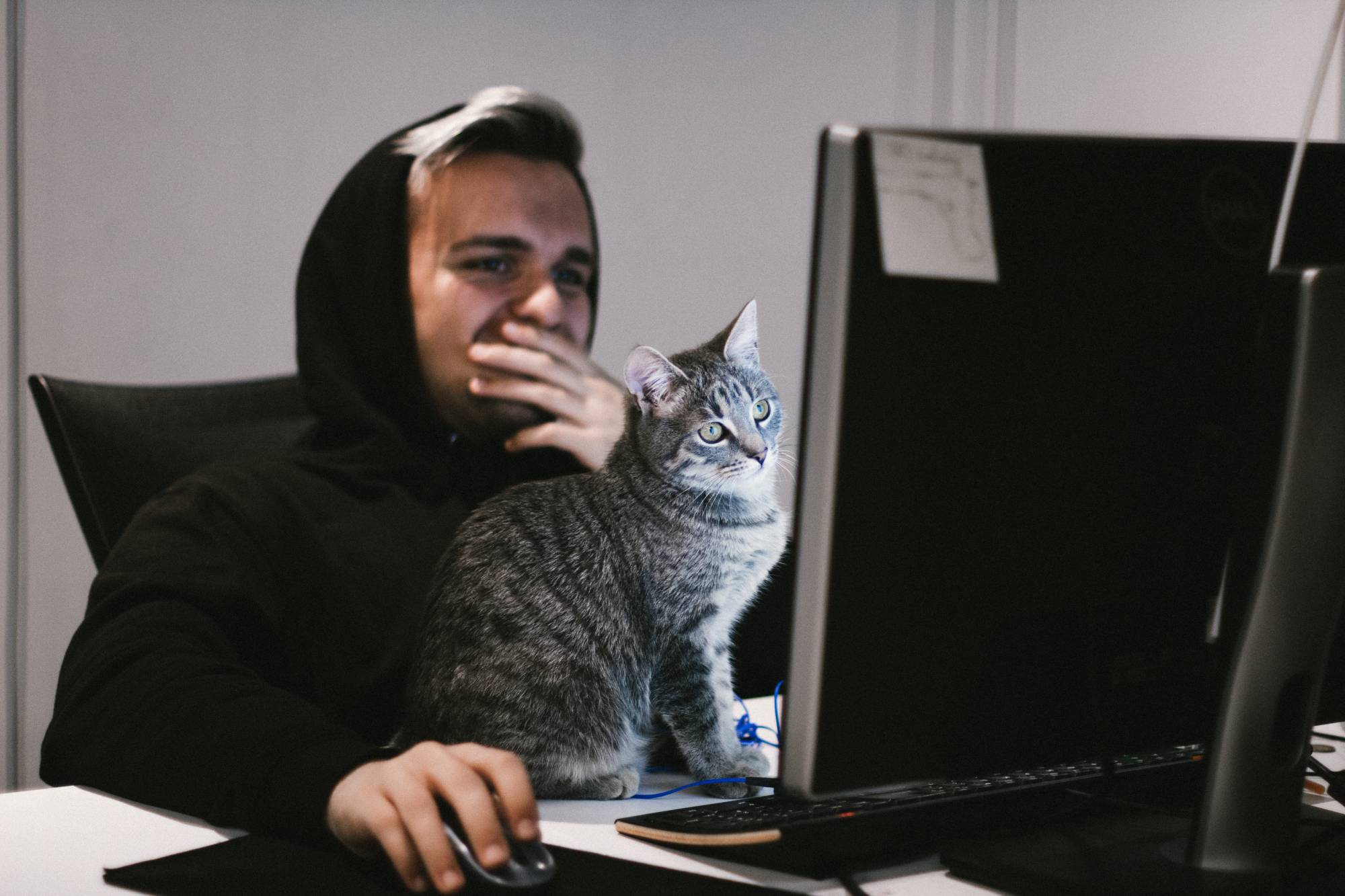 Computer Lesen Klicken Man Katze Head