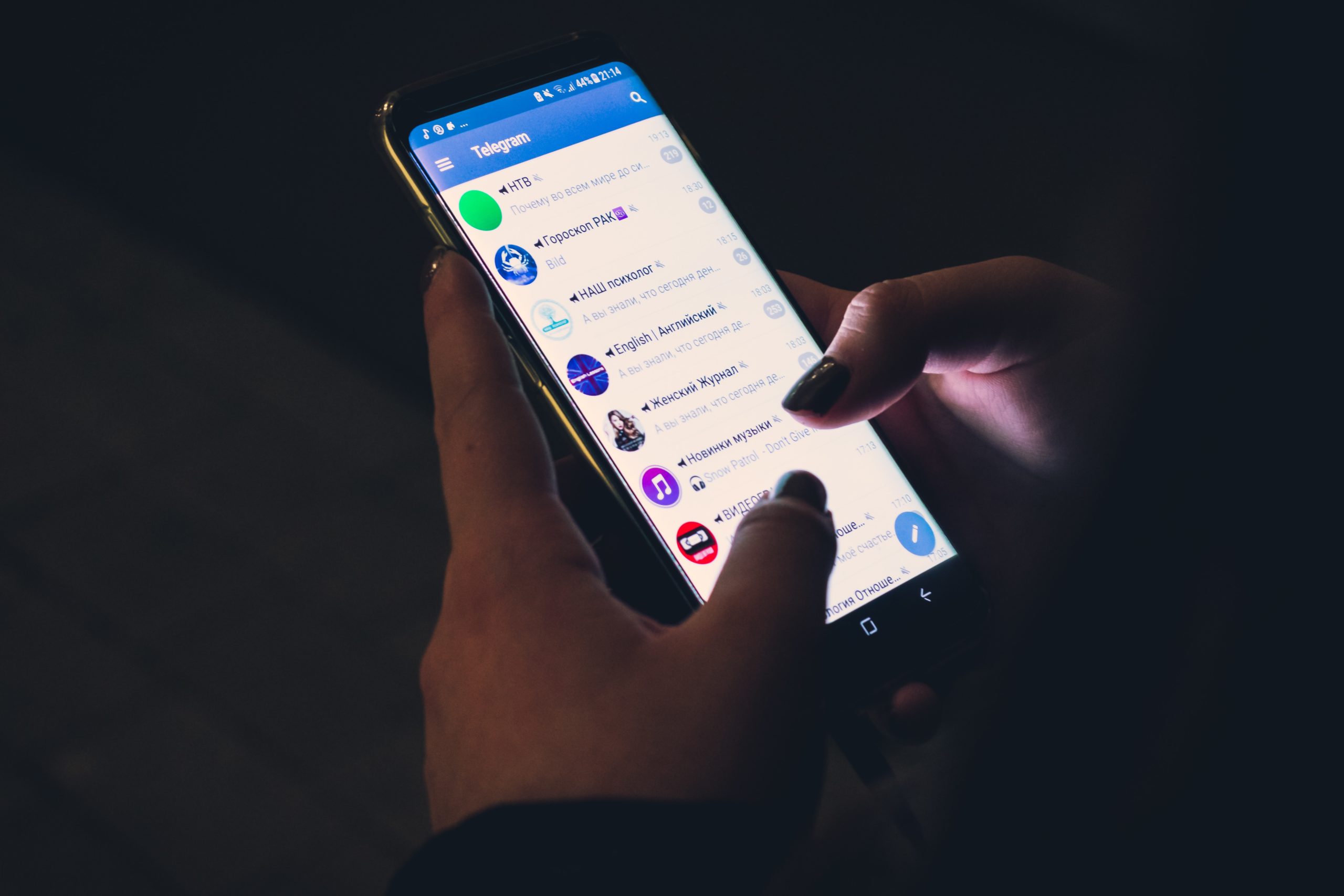 Telegram Head