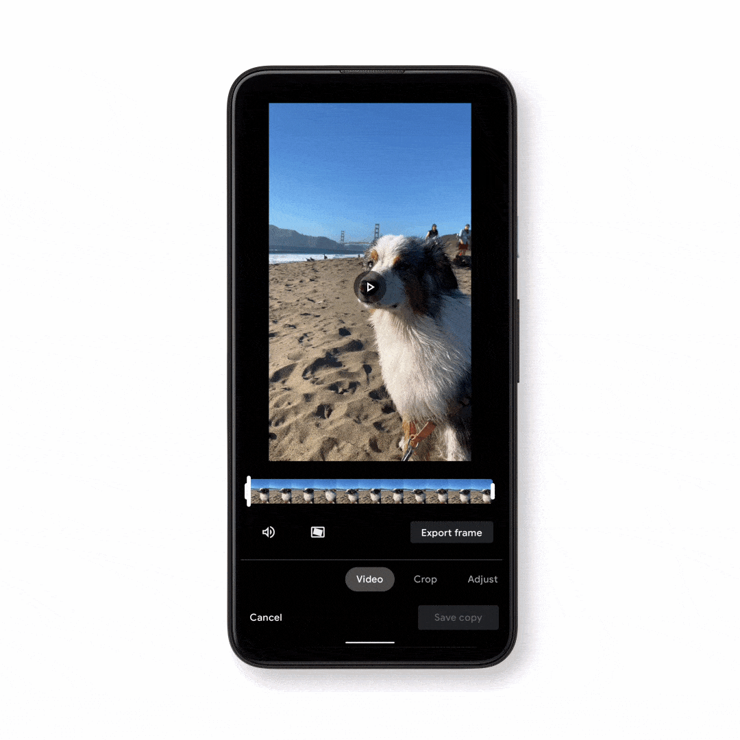 E822 Photos Gifs Video Editor V04 24fps