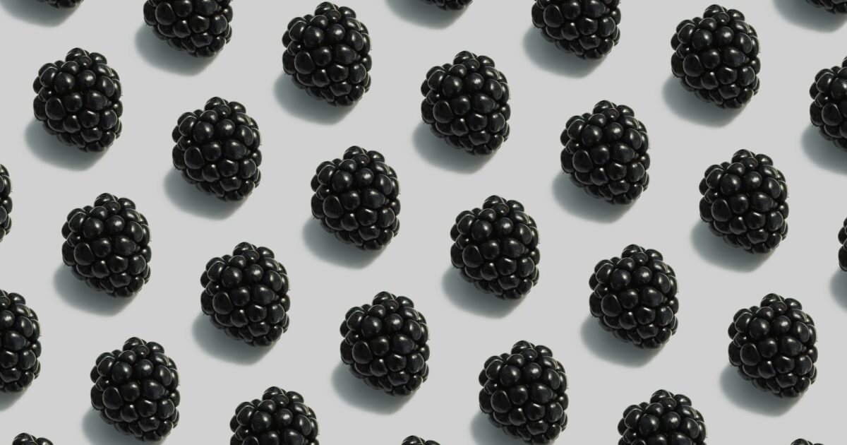 Blackberry Jeremy Bezanger U Bq Vhqaym Unsplash