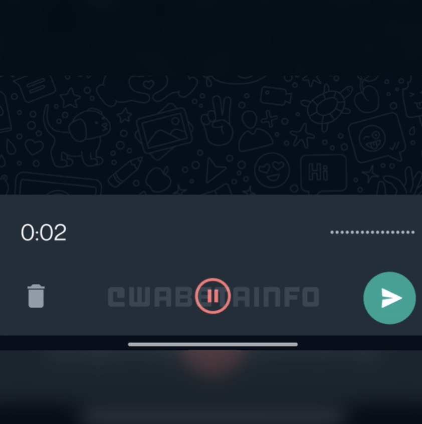 Whatsapp Pausetaste Leak