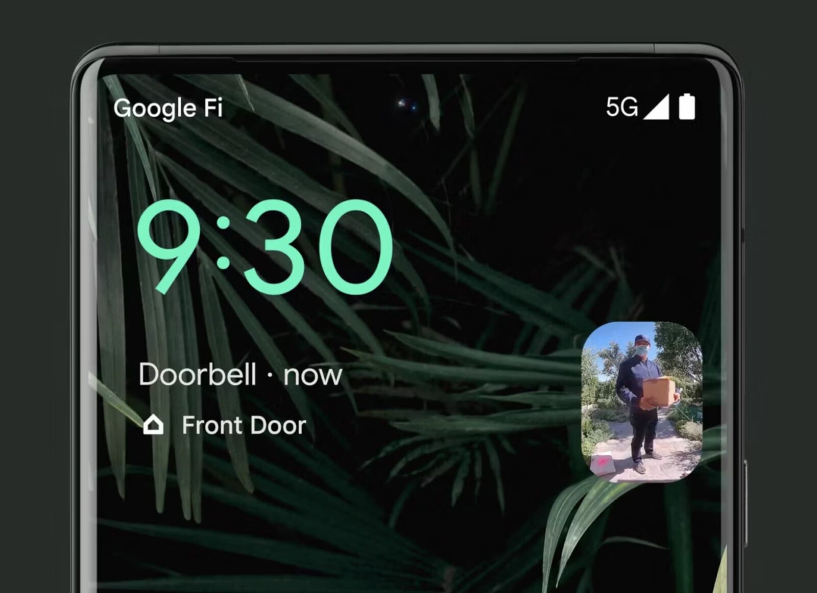 Nest Doorbell Live Anzeige