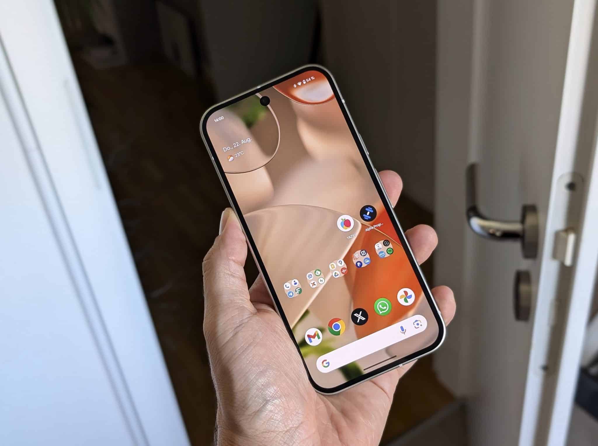 Google Pixel 9 Test Display