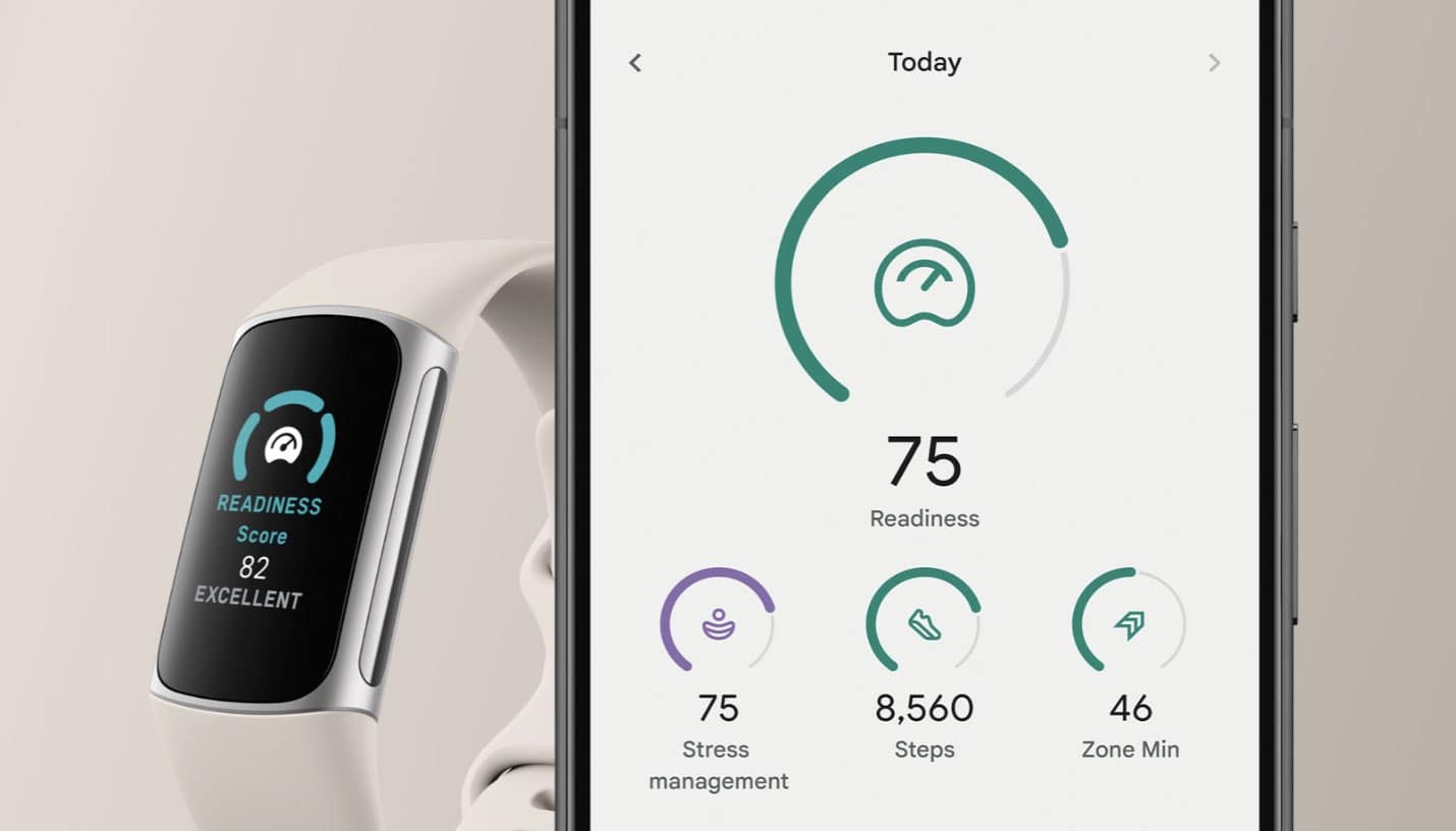Fitbit Hero Tagesform