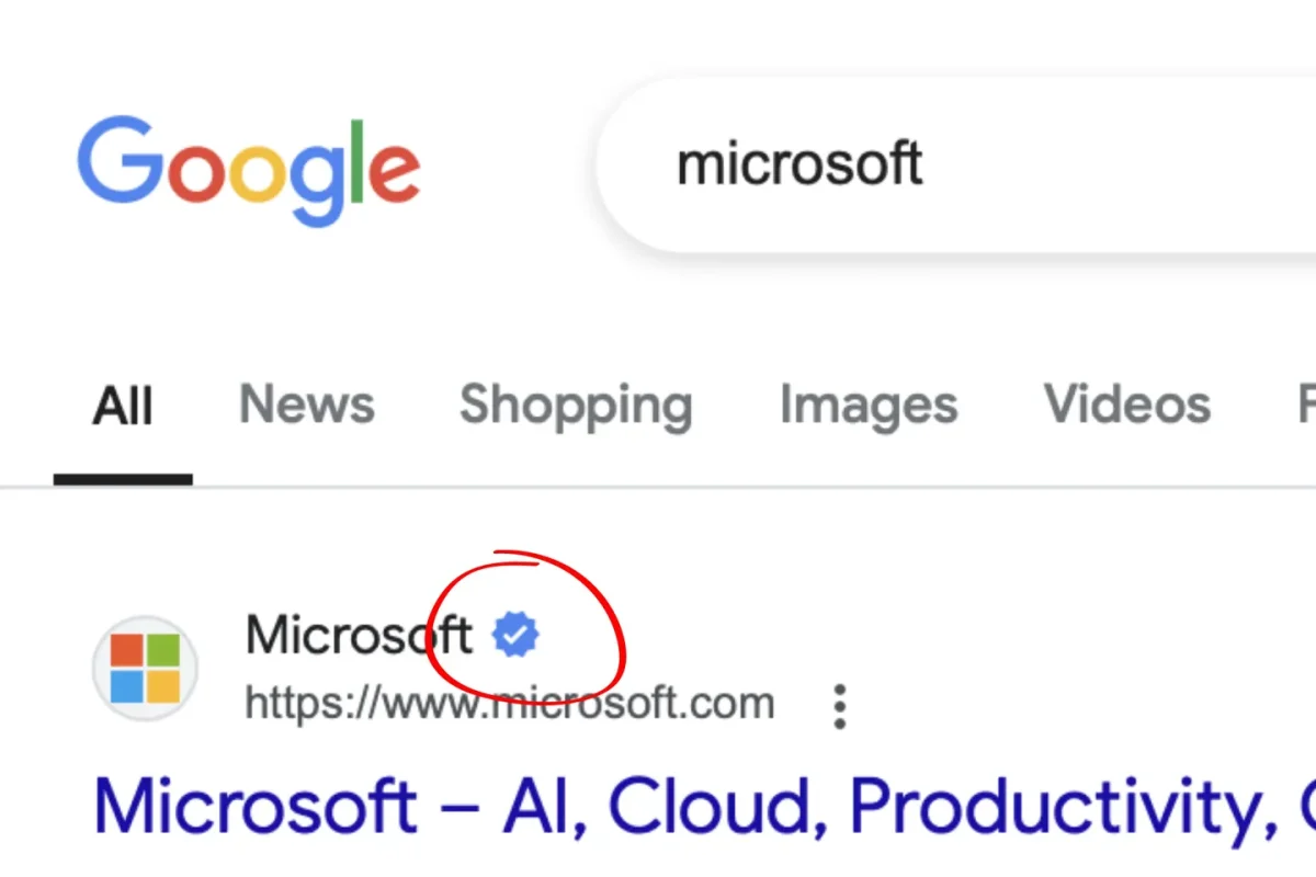 Google_Search_verified_blue_checkmark_hed-The-Verge
