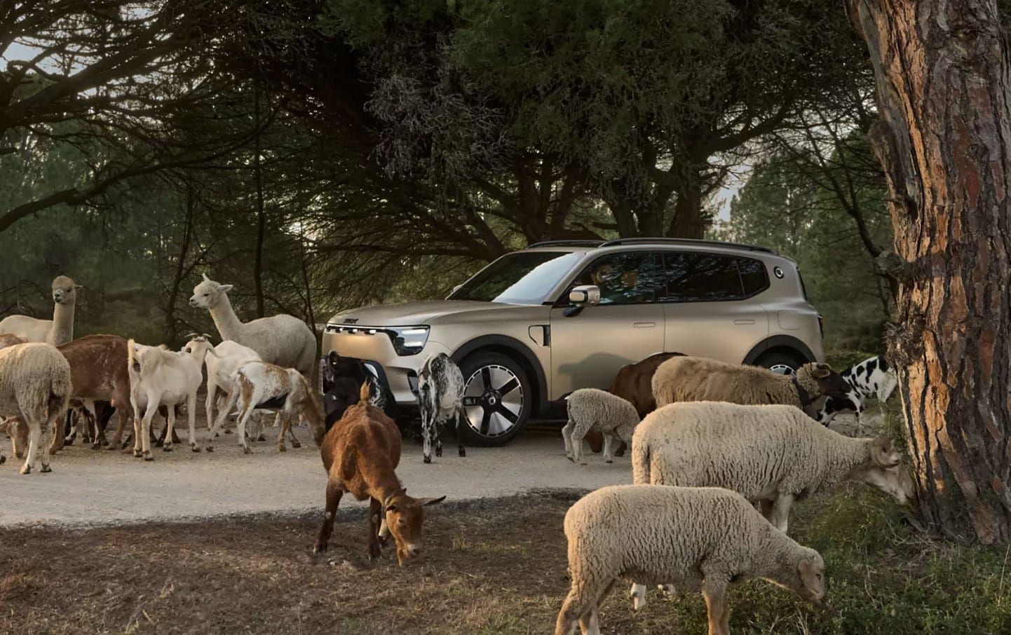 Smart-6-Jetzt-kommt-eine-Limousine